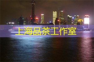 夜上海最美的观景台，俯瞰城市的霓虹光影！