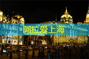 上海后花园惊艳绽放：体验别样醉人的花海世界！
