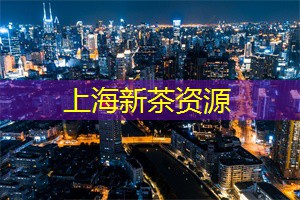 上海新茶工作室：茶叶与文化相融，探索上海新茶工作室的文化底蕴！