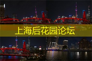 一念繁华